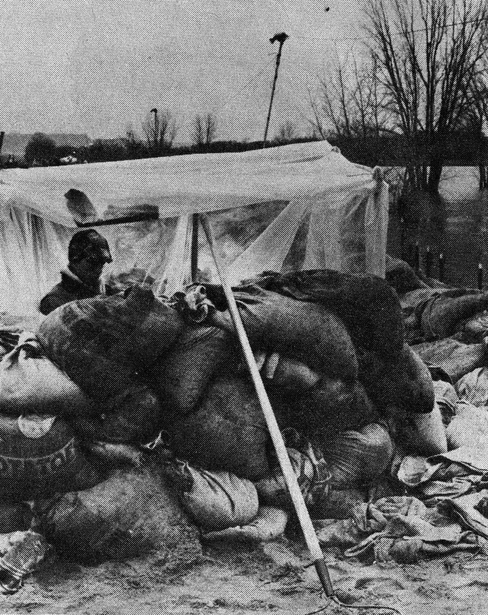 Pieces of the Past - 1965 Flood